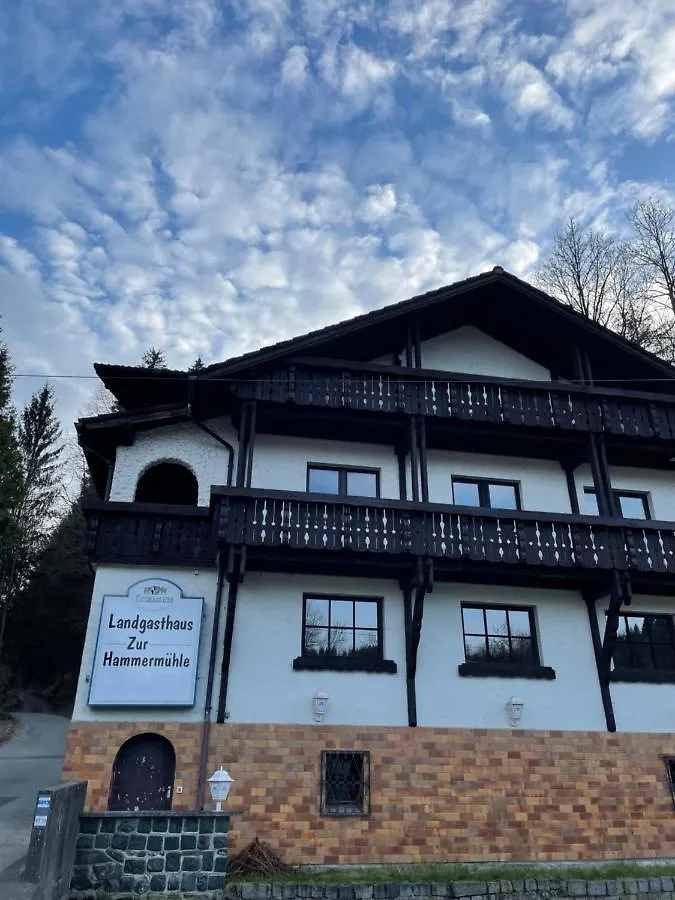 Pension Zur Hammermuehle location