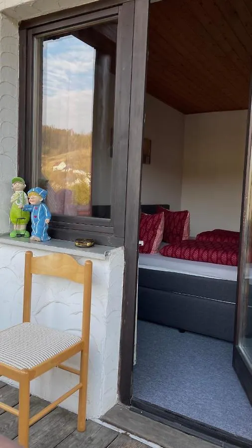 Pension Zur Hammermuehle Hotel Wallenfels 0*,  Germany