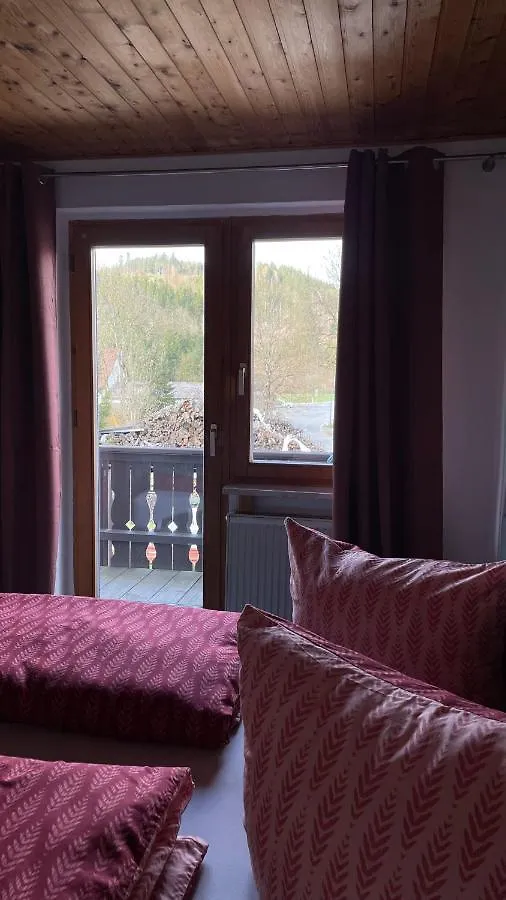 Pension Zur Hammermuehle Hotel Wallenfels Germany