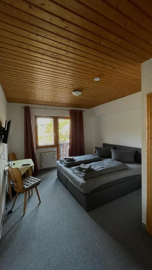 Guest house Pension Zur Hammermuehle Hotel Wallenfels