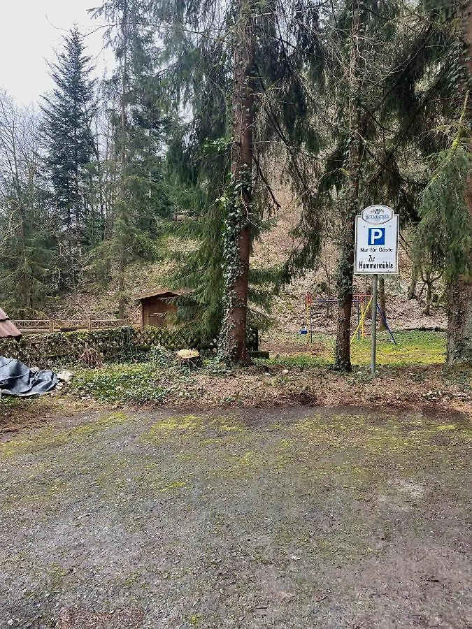 Pension Zur Hammermuehle Hotel Wallenfels 0*,